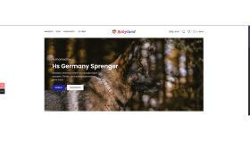 Sprenger Websitesi
