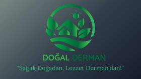 Logo çalışmaları 
