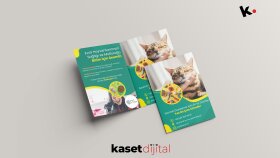 Pati Pazarı Logo ve Broşür Tasarımı