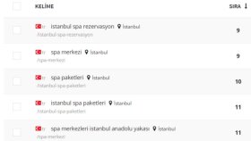 SPA Merkezi - SEO Çalışması