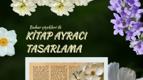 Broşür-Poster-Sosyal Medye Gönderisi tasarımı