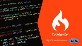 sizin için özel kodlanmış websitesi yazabilirim