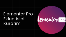 sitenize Elementor Pro kurabilirim