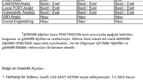 Örnek Güvenlik Testi Raporu