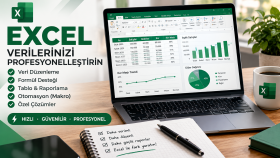 Excel veri girişi, düzenleme ve raporlama yapabilirim