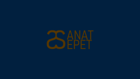 SanatSepet