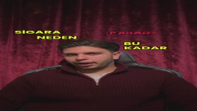 Dijital İçerik ve Kurgu Çalışmalarım