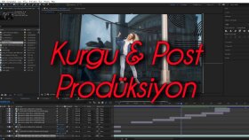 Videoda Tanıtım, Ses, Geçişler, Efektler, Görüntü Kayıtları.