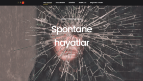 roleplay sunucunuz için website kodlayabilirim