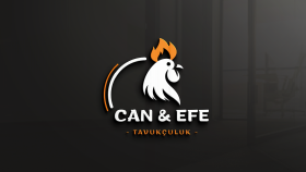 hayalinizdeki firma logosunu size en iyi şekilde sunarım