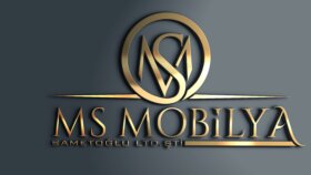 MS - LOGO TASARIM