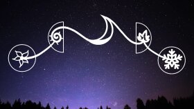 Modern İllustrasyon ve Çizim Tasarımları