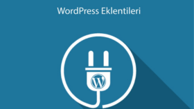 sizin için wordpress eklentisi oluşturabilirim