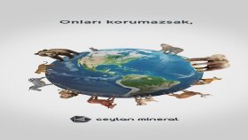 sizler için etkili sosyal medya tasarımları yapabilirim