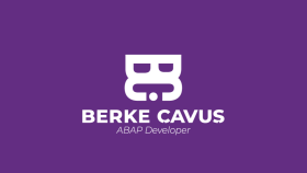 Berke Çavuş Logo Work'