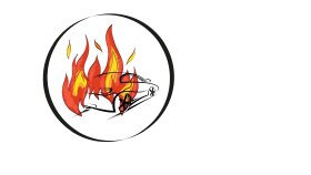 sizin için logo tasarlayabilirim