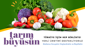 işletmeniz için sosyal medya tasarımları hazırlayabilirim