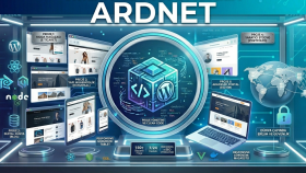 profesyonel web sitesi tasarlarım