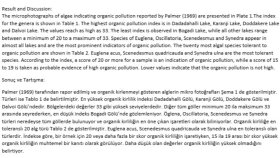 İngilizce-Türkçe Makale