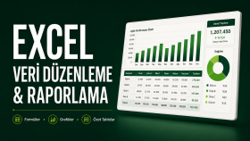 düzenli ve profesyonel Excel tabloları hazırlarım