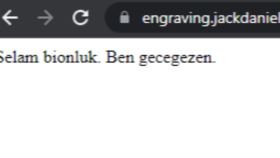 Siber Güvenlik Testi