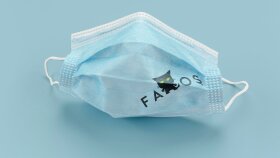Fatoş Maske