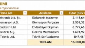pdf'den excel'e veri aktarımı yaparım
