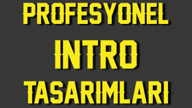sanatsal profesyonelliği sağlarım