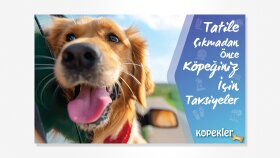 Kopekler.com