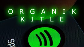 SPOTIFY (DIJITAL MUZIK PAZARI)