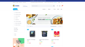 kısa sürede modern e-ticaret siteleri teslime edebilirim