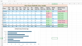 Excel’de Tablo Düzenleme ve Veri Girişi