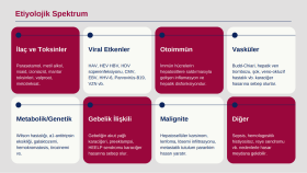 istediğiniz tarzda sunumlar ve infografik  hazırlayabilirim