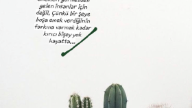 Ödüllü yazar