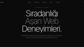 Bertu Studios - Web Yazılım
