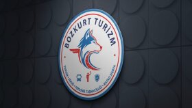 size özel firmanıza değer katacak logo tasarlıyorum