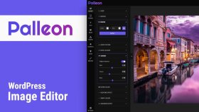 Palleon - WordPress Fotoğraf Düzenleyici