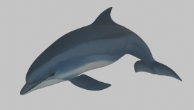 Profesyonel 3D Modelleme & Görselleştirme