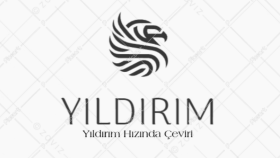 Yıldırım Hızında Çeviri