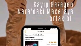 Video İçeriği 