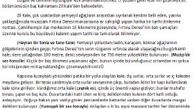 Radyo Kanalı İçin Gezi Bölümleri Serisinden Örnekler