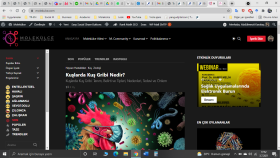 Anahtar Teslim Web Sitesi