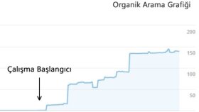SEO ve Backlink Hizmeti