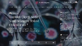 Web design ui/ux