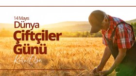 Sosyal medya tasarımları