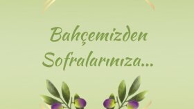 Zytin- Instagram Gönderisi