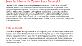 Örnek Türkçe makale