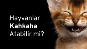 Seslendirme Çalışmalarım