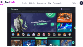 özel yazılım web sitesi yapabilirim