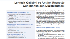 Textbook Çevirisi